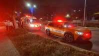 בחור ישיבה בן 17 הוכש מנחש ארסי באשדוד - פונה במצב יציב