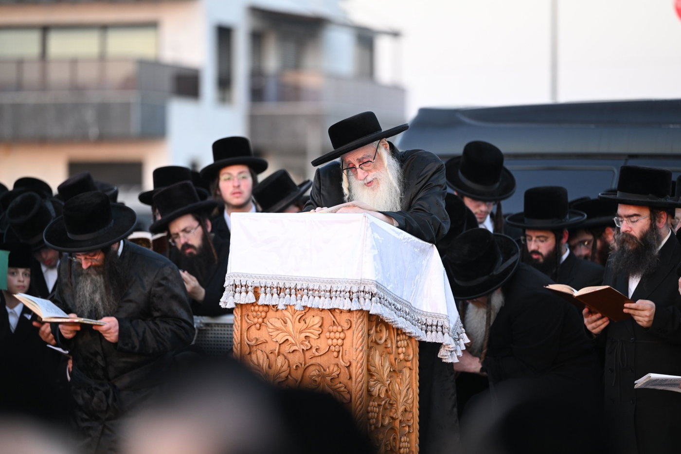 האדמו"ר מצאנז בתשליך