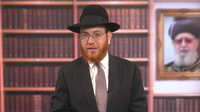 חג סוכות בשבת: האם אפשר לבחור אתרוג עם נקודה שחורה? • צפו