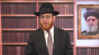 חג סוכות בשבת: האם אפשר לבחור אתרוג עם נקודה שחורה? • צפו