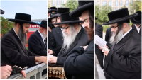 האדמו"ר מסאטמר ובניו בתשליך