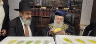 הראשל"צ הגר"י יוסף בבדיקת אתרוגים