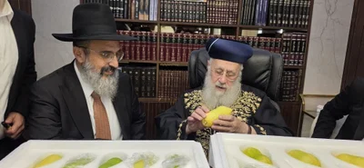 הראשל"צ הגר"י יוסף בבדיקת אתרוגים