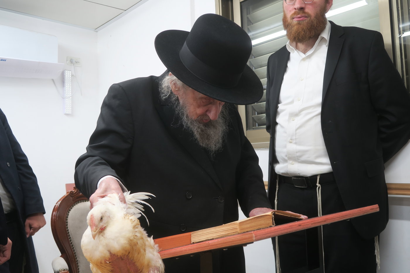 הגר"ד לנדו במנהג כפרות