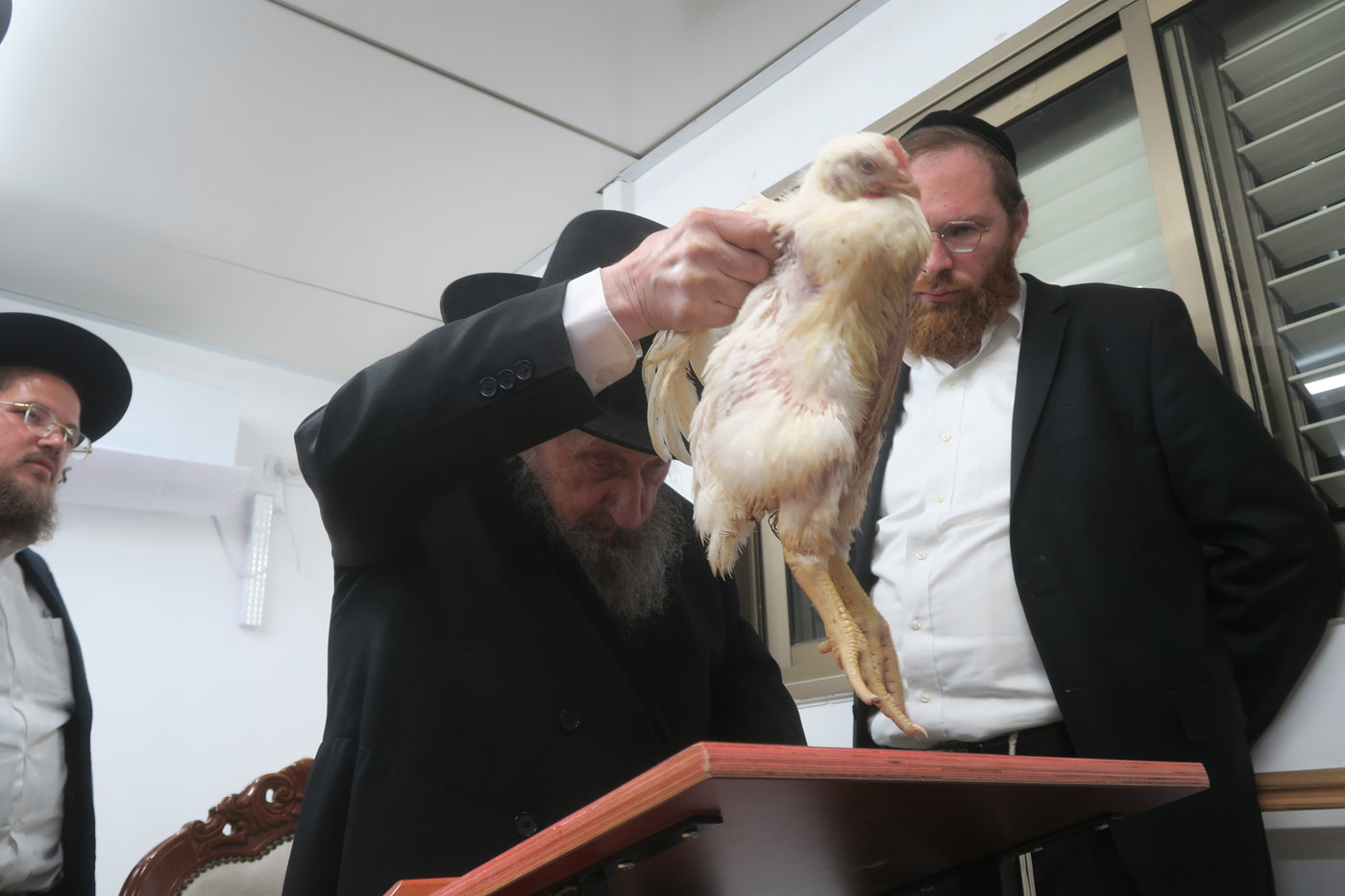 הגר"ד לנדו במנהג כפרות