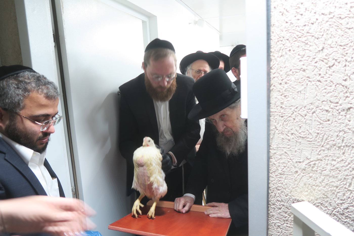הגר"ד לנדו במנהג כפרות