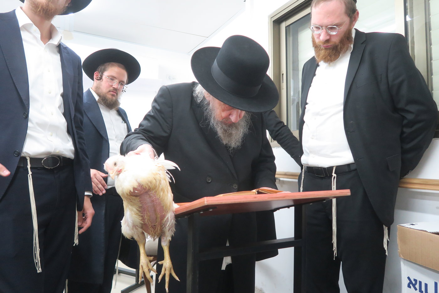 הגר"ד לנדו במנהג כפרות
