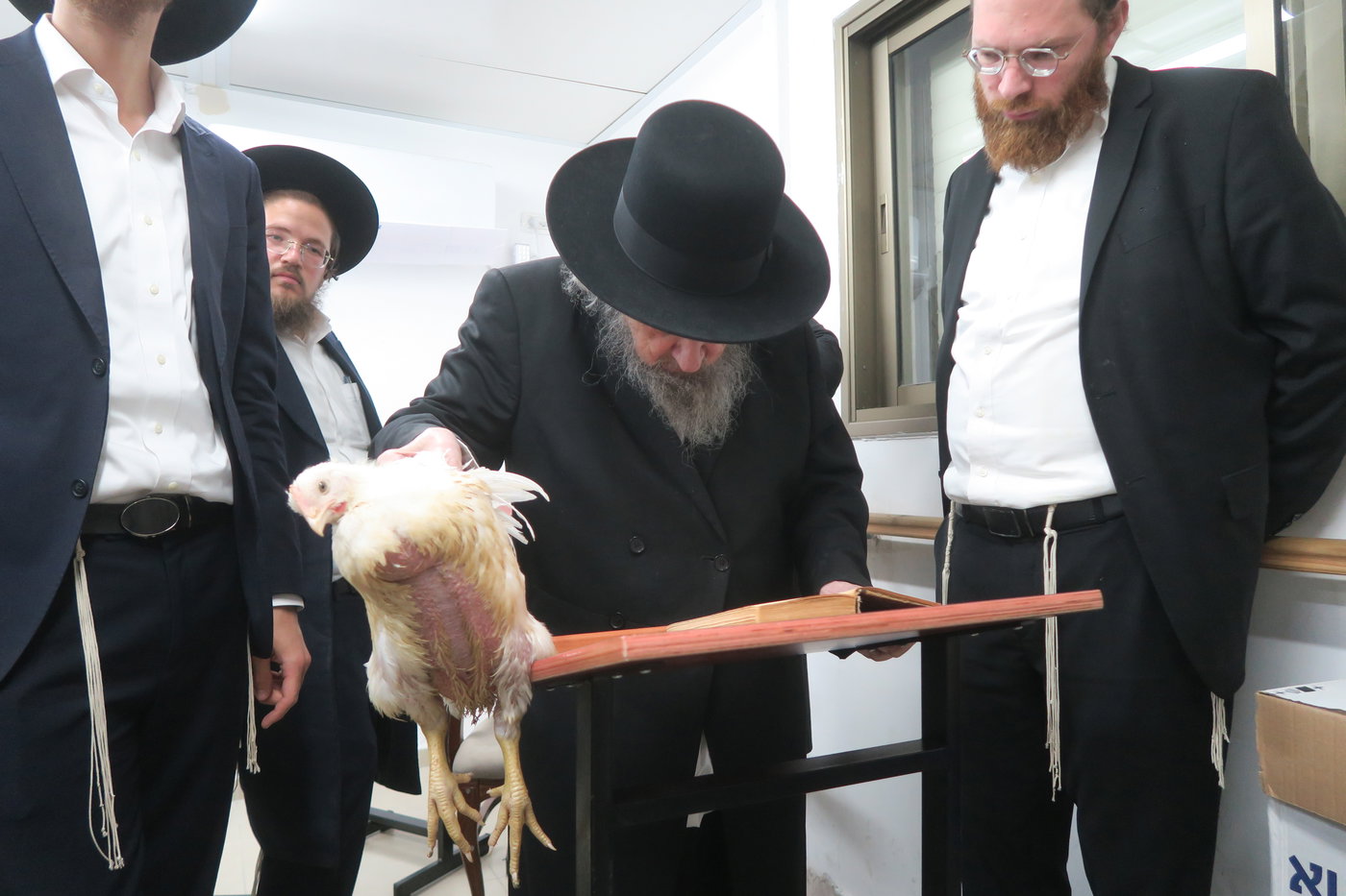 הגר"ד לנדו במנהג כפרות