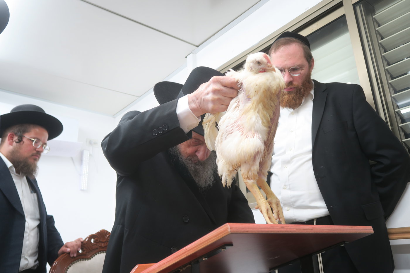 הגר"ד לנדו במנהג כפרות