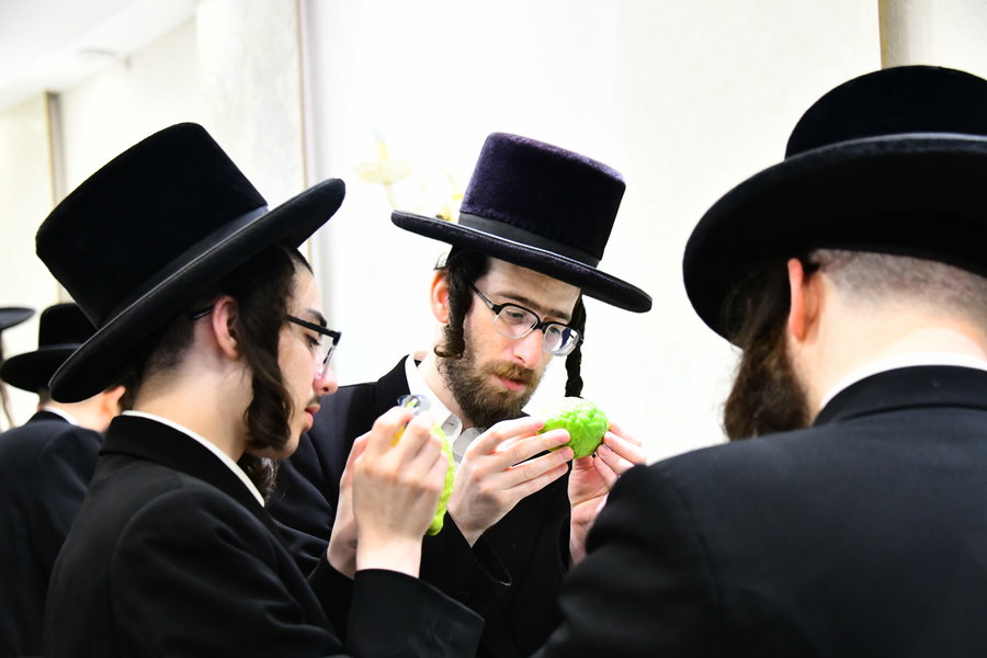מבדיקת הפיטם ועד בניית הסוכות; כך מתכוננים תושבי בני ברק לחג הסוכות