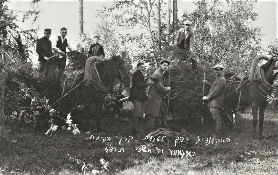 גברים צעירים כורתים ענפים לגג הסוכה (סכך) כדי לגייס כסף לקרן קיימת | רוג'ב, 1927