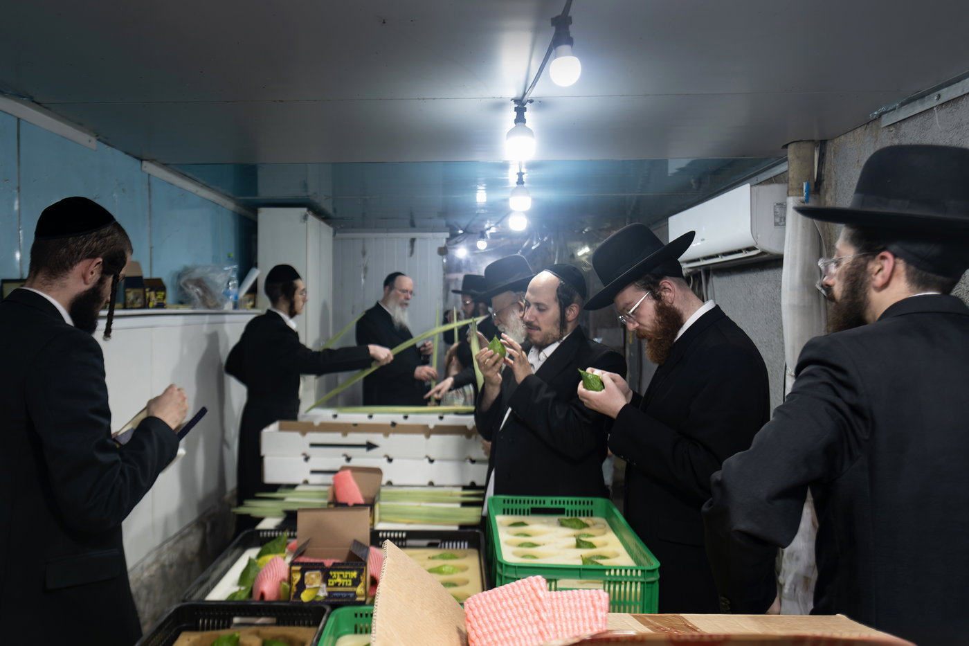 ארבעת המינים בבני ברק
