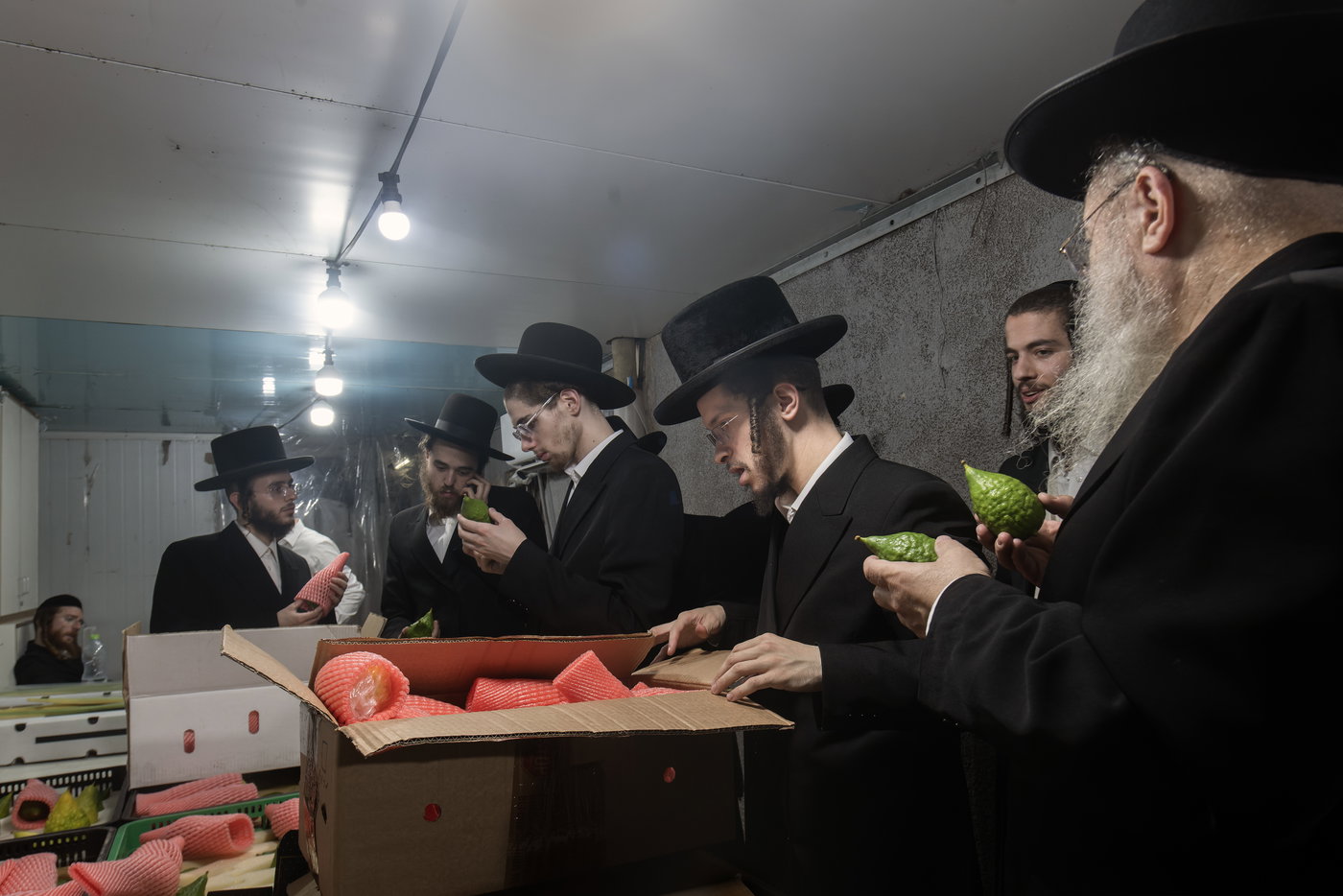 ארבעת המינים בבני ברק