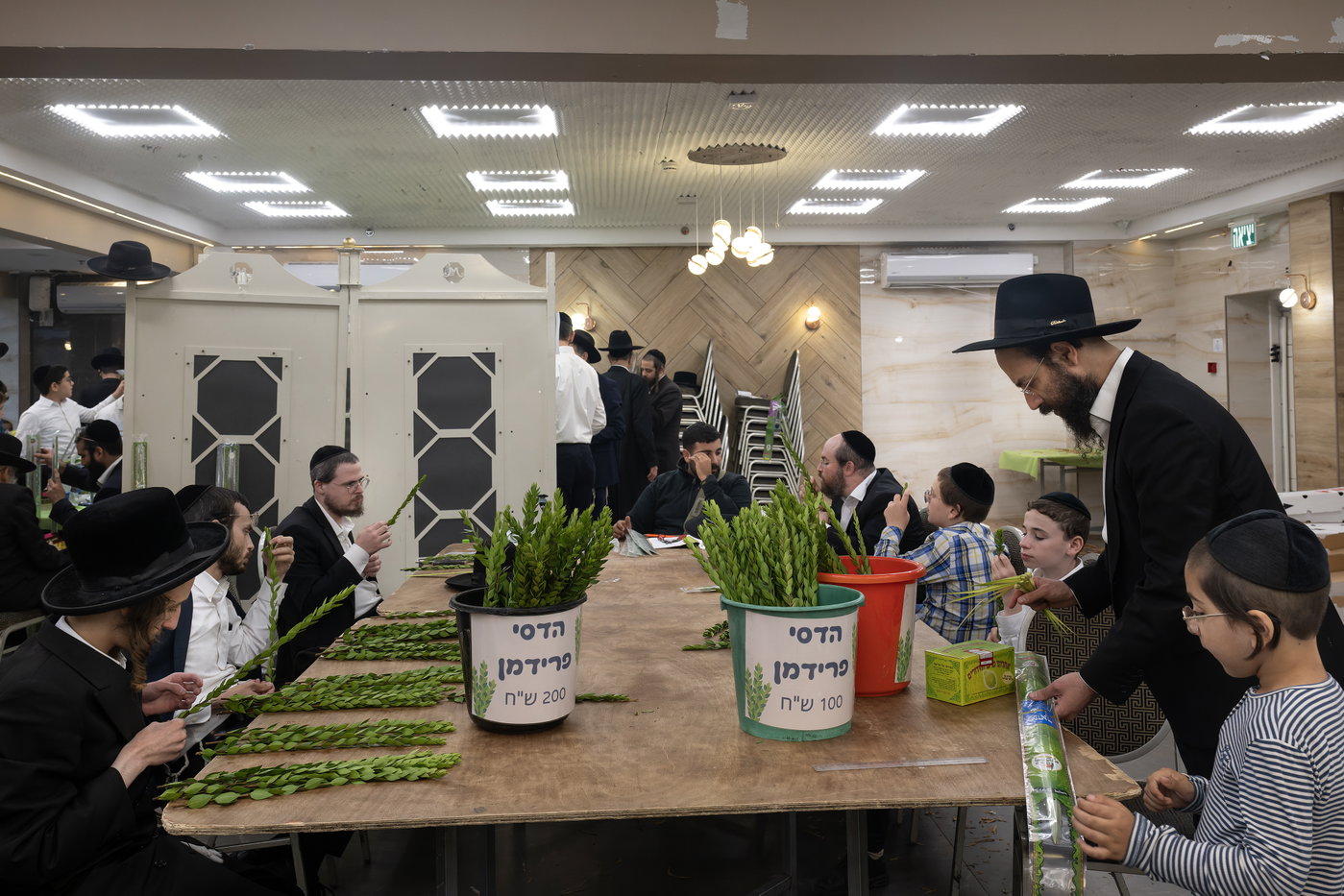 ארבעת המינים בבני ברק