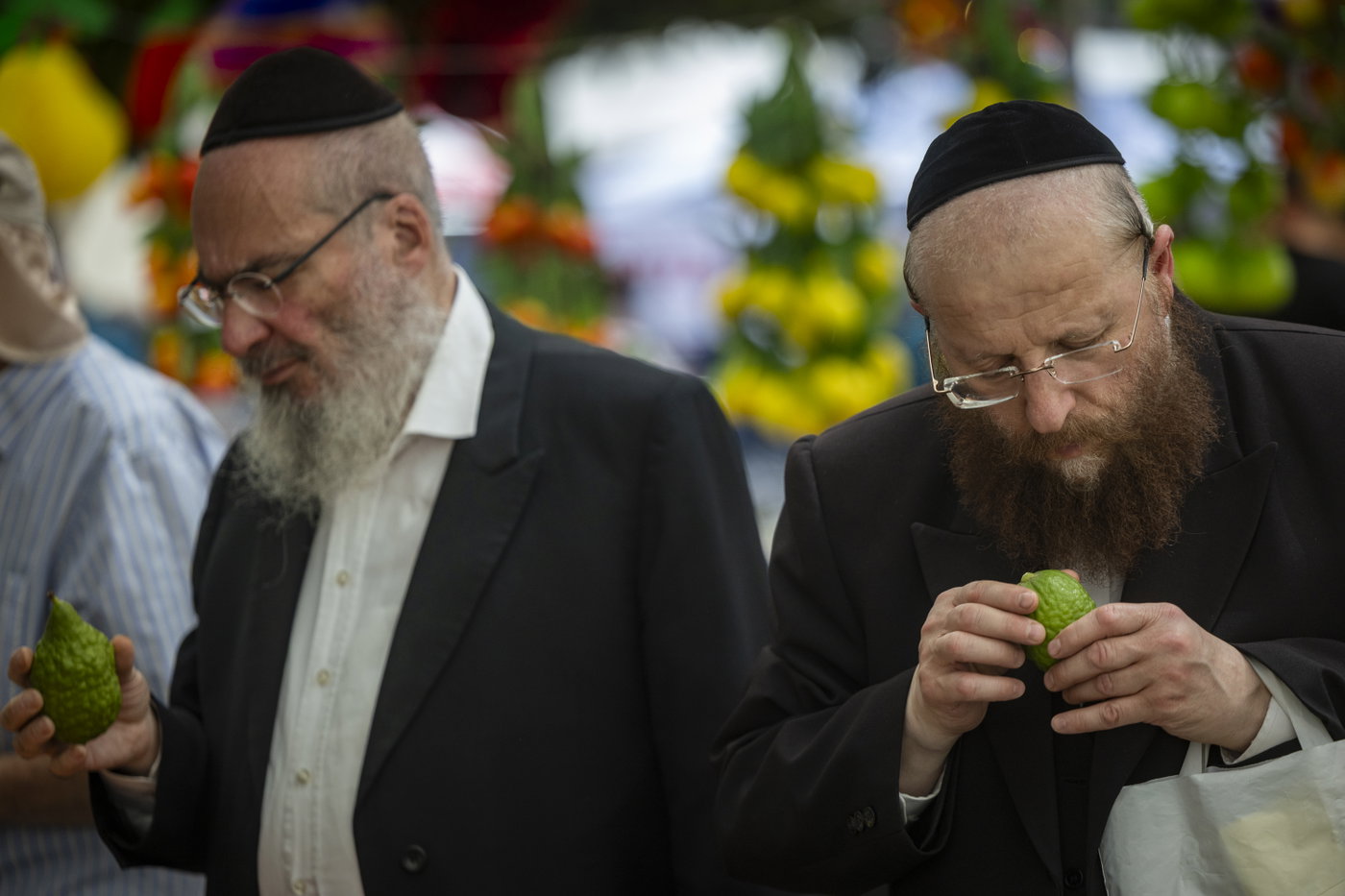 ארבעת המינים בשוק מחנה יהודה בירושלים
