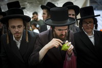 ארבעת המינים בשוק מחנה יהודה בירושלים