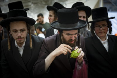 ארבעת המינים בשוק מחנה יהודה בירושלים