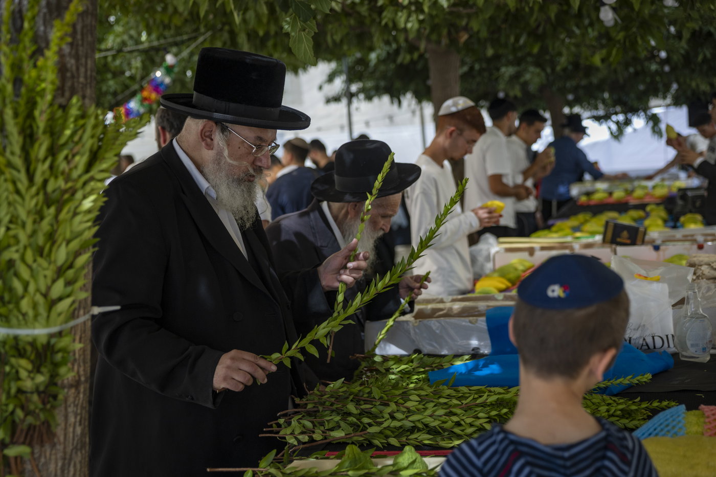 ארבעת המינים בשוק מחנה יהודה בירושלים