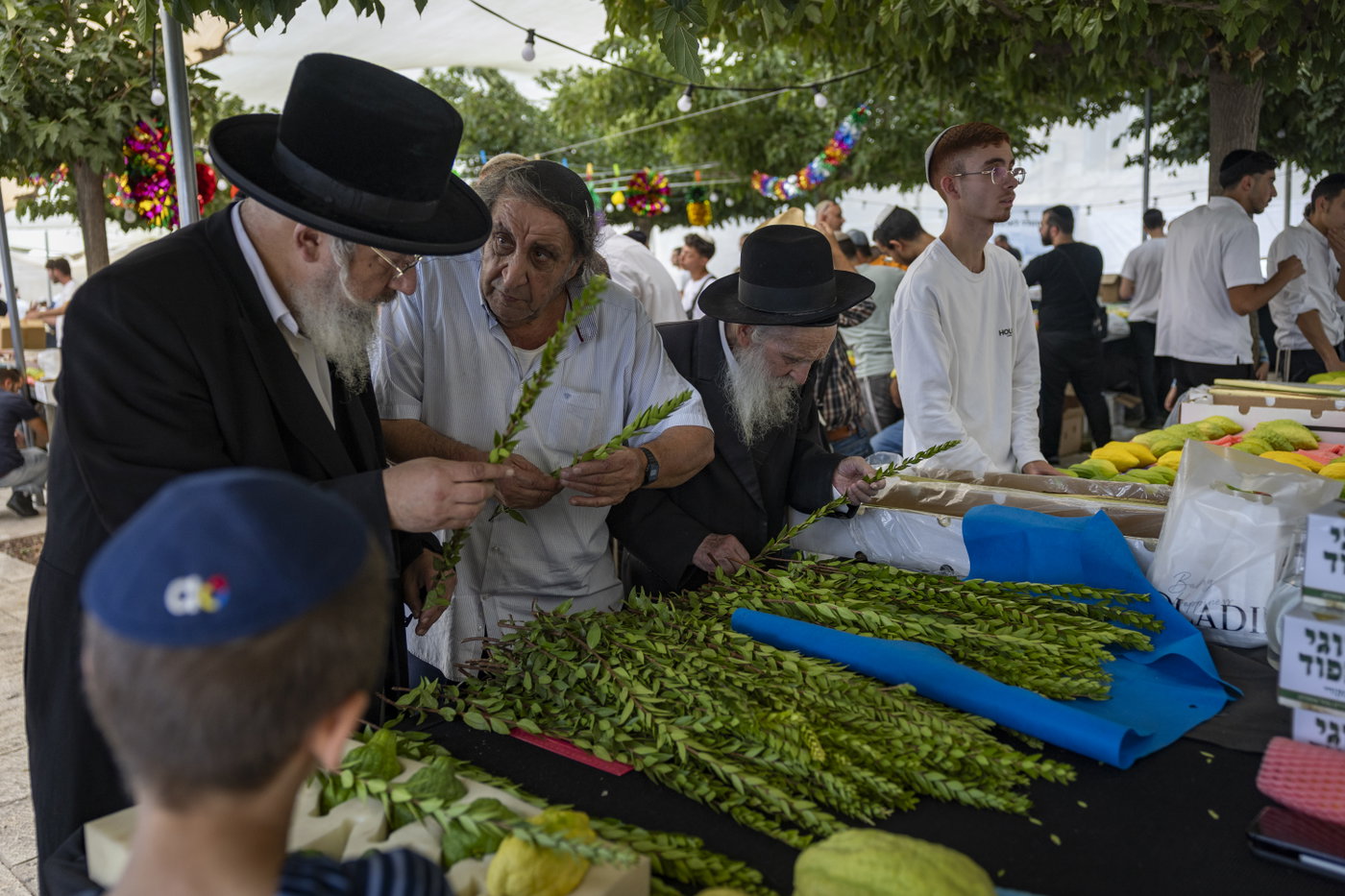 ארבעת המינים בשוק מחנה יהודה בירושלים