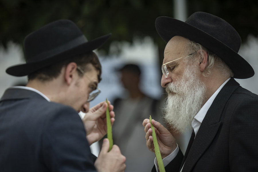 ארבעת המינים בשוק מחנה יהודה בירושלים