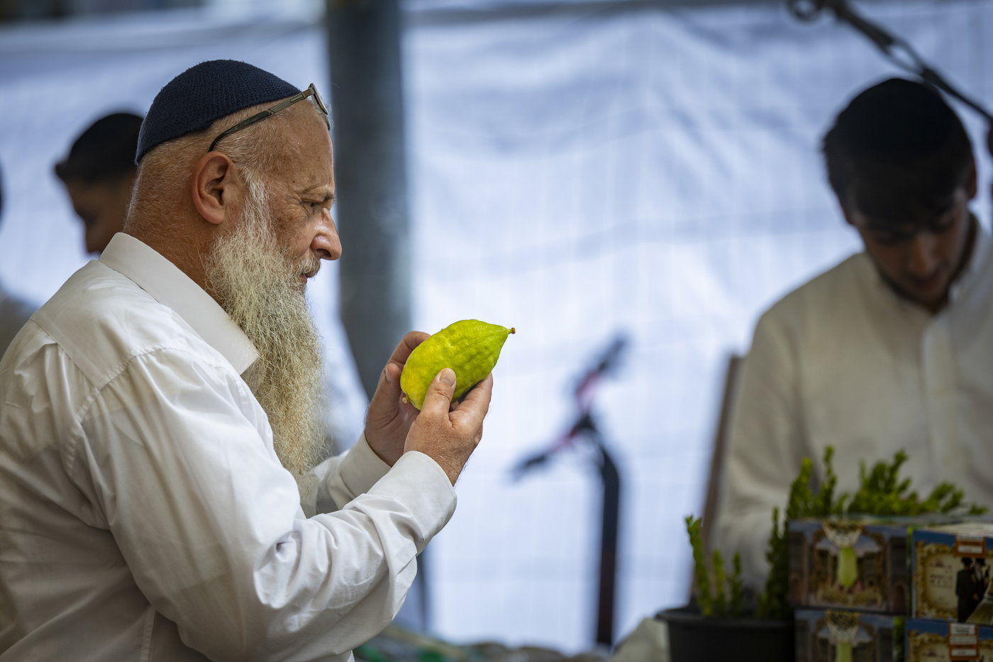 ארבעת המינים בשוק מחנה יהודה בירושלים