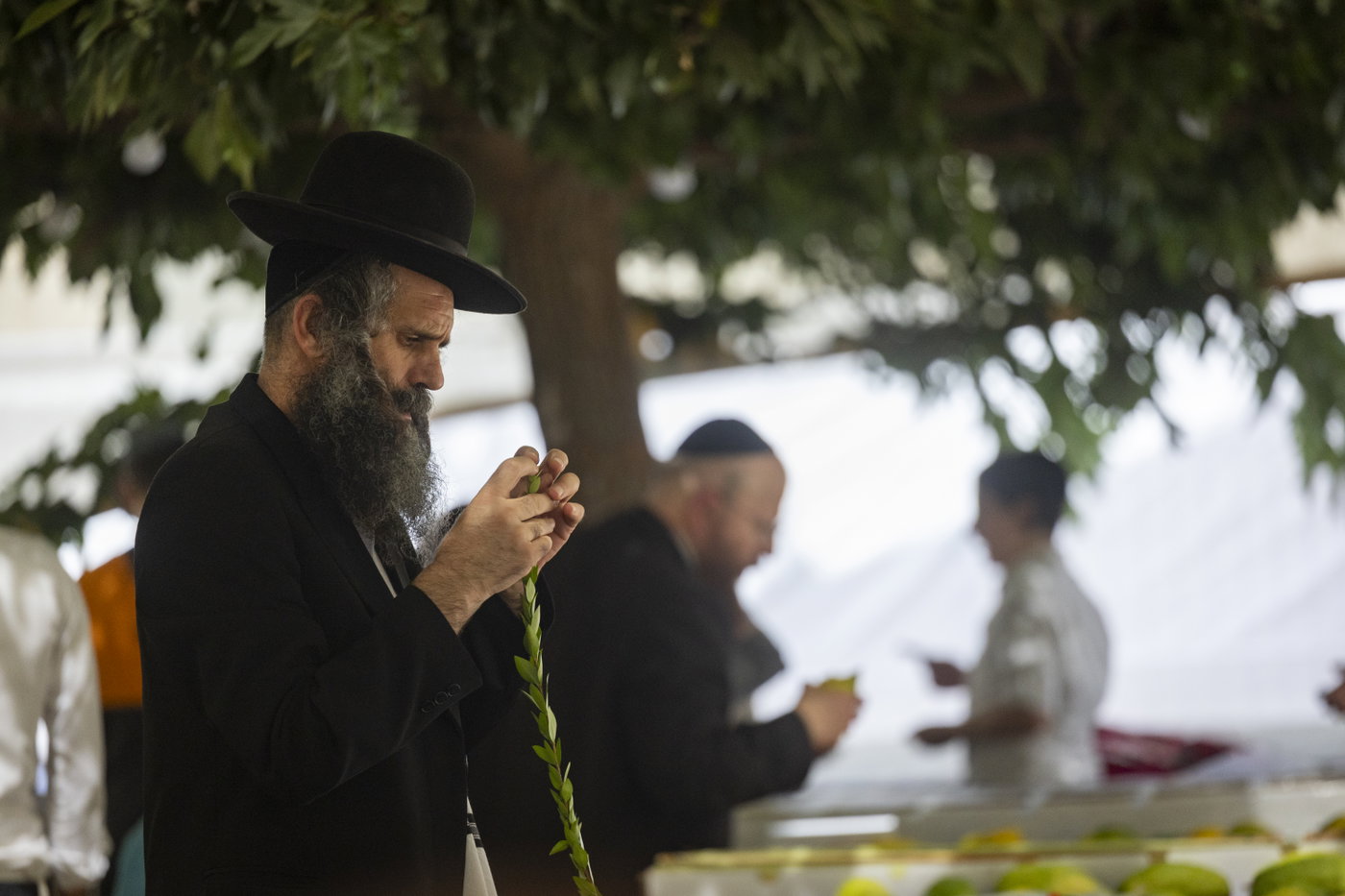 ארבעת המינים בשוק מחנה יהודה בירושלים