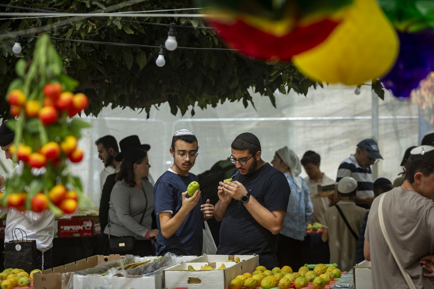 ארבעת המינים בשוק מחנה יהודה בירושלים