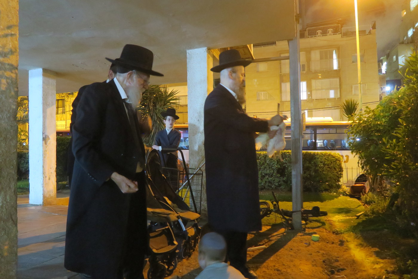 הגר"ש גלאי במנהג כפרות