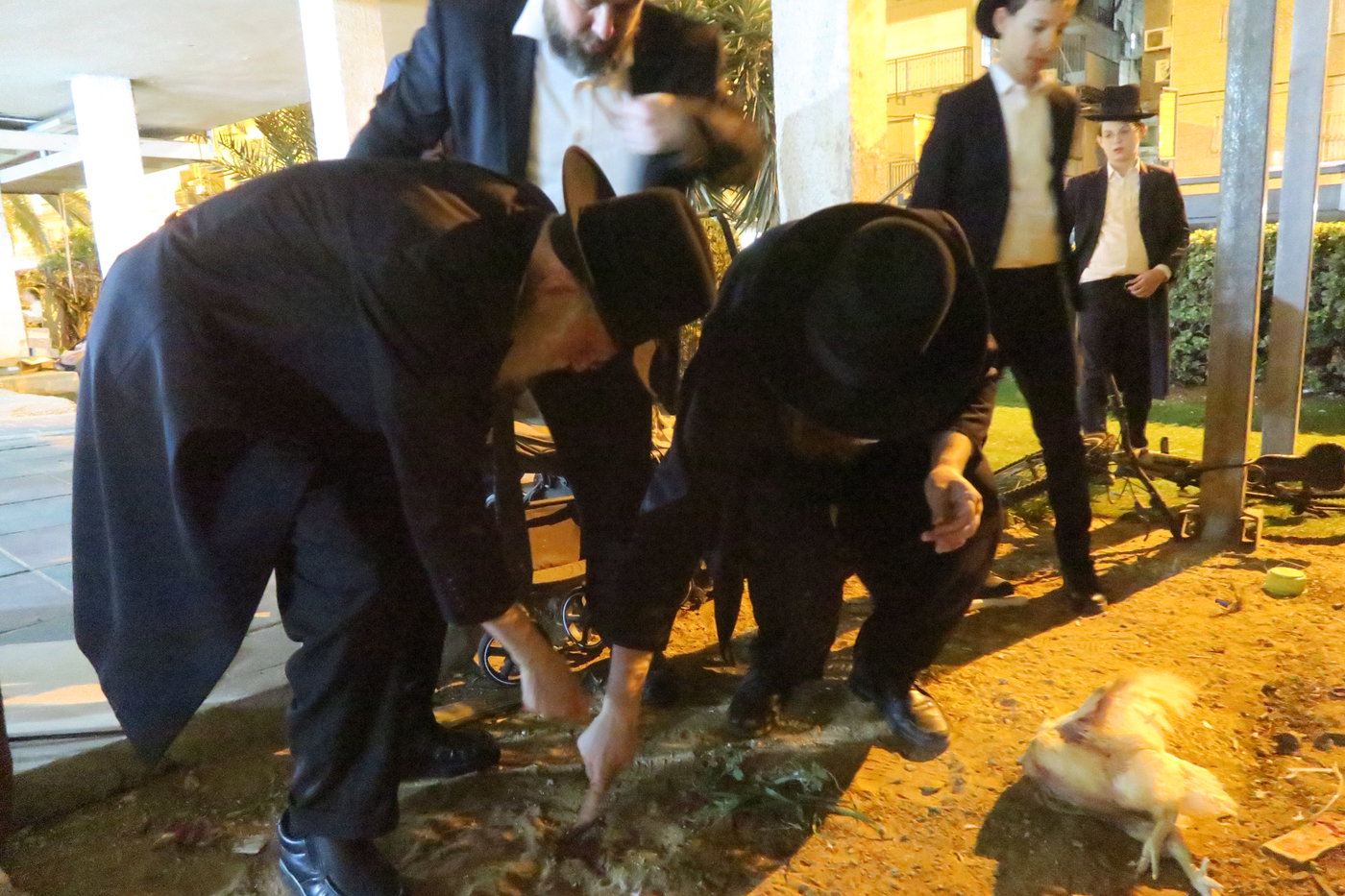 הגר"ש גלאי במנהג כפרות