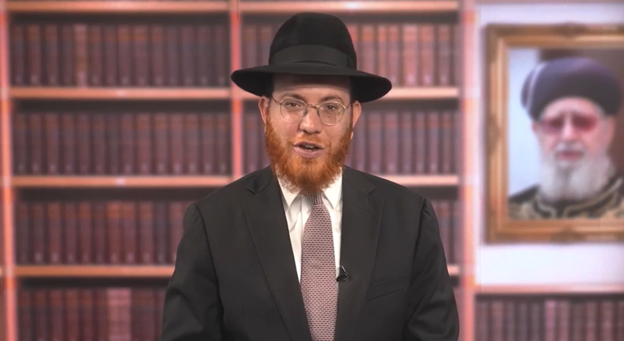 מוקצה בארבעת המינים: ההיתר המפתיע לקראת השבת והחג