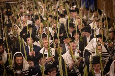 נוטלים ד' מינים
