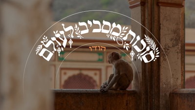 הסוכה הכי מבודדת בעולם • הרב שכמעט הפך ל"נזיר בודהיסטי" בריאיון חג מהרי ההימלאיה | צפו