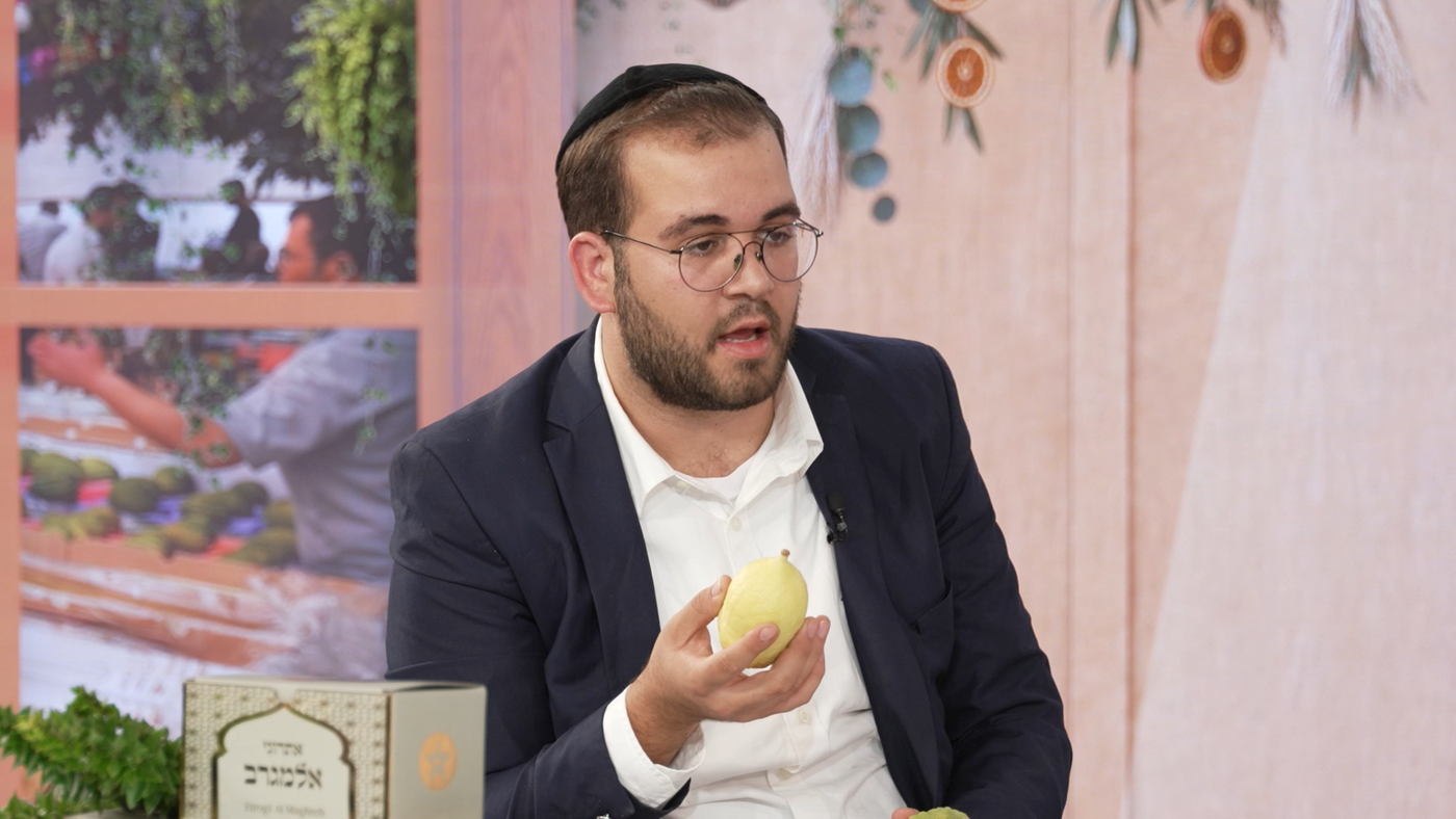 שמוליק פרץ בתוכנית "ולקחתם לכם"