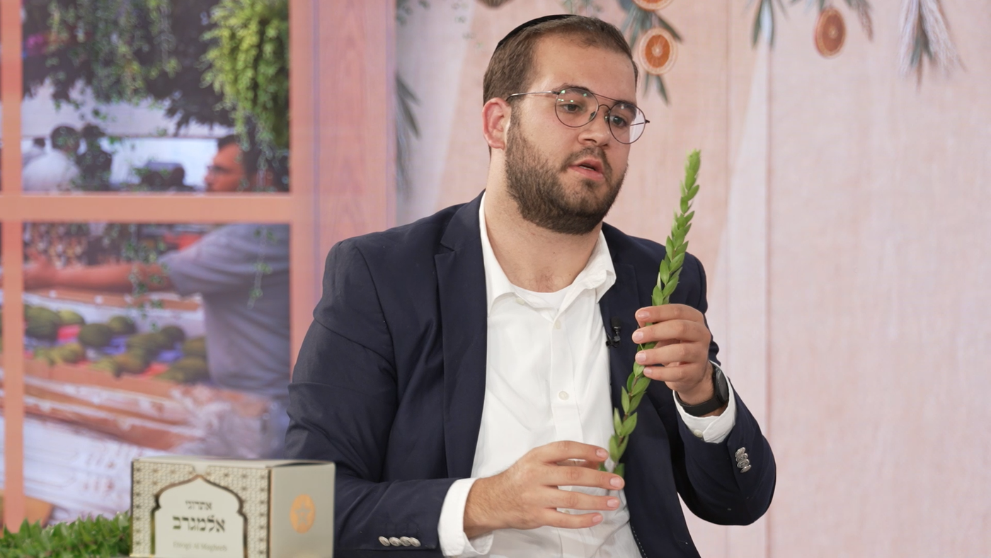 שמוליק פרץ בתוכנית "ולקחתם לכם"