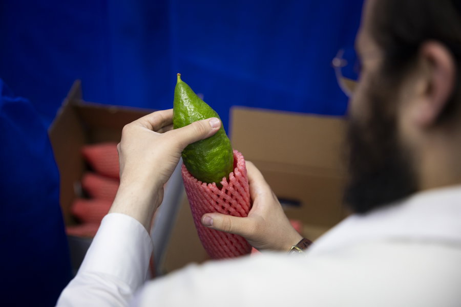במשך שנה הוא אסף שקל לשקל כדי שיוכל לרכוש ארבעת המינים | סיפור מטלטל