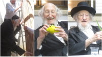 ערב סוכות אצל הגר"א לוי