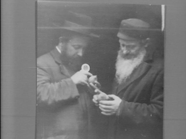 "יראים ושלימים" - בוחנים אתרוגים תחת עין זכוכית המגדלת ביריד הוורשאי לד' מינים