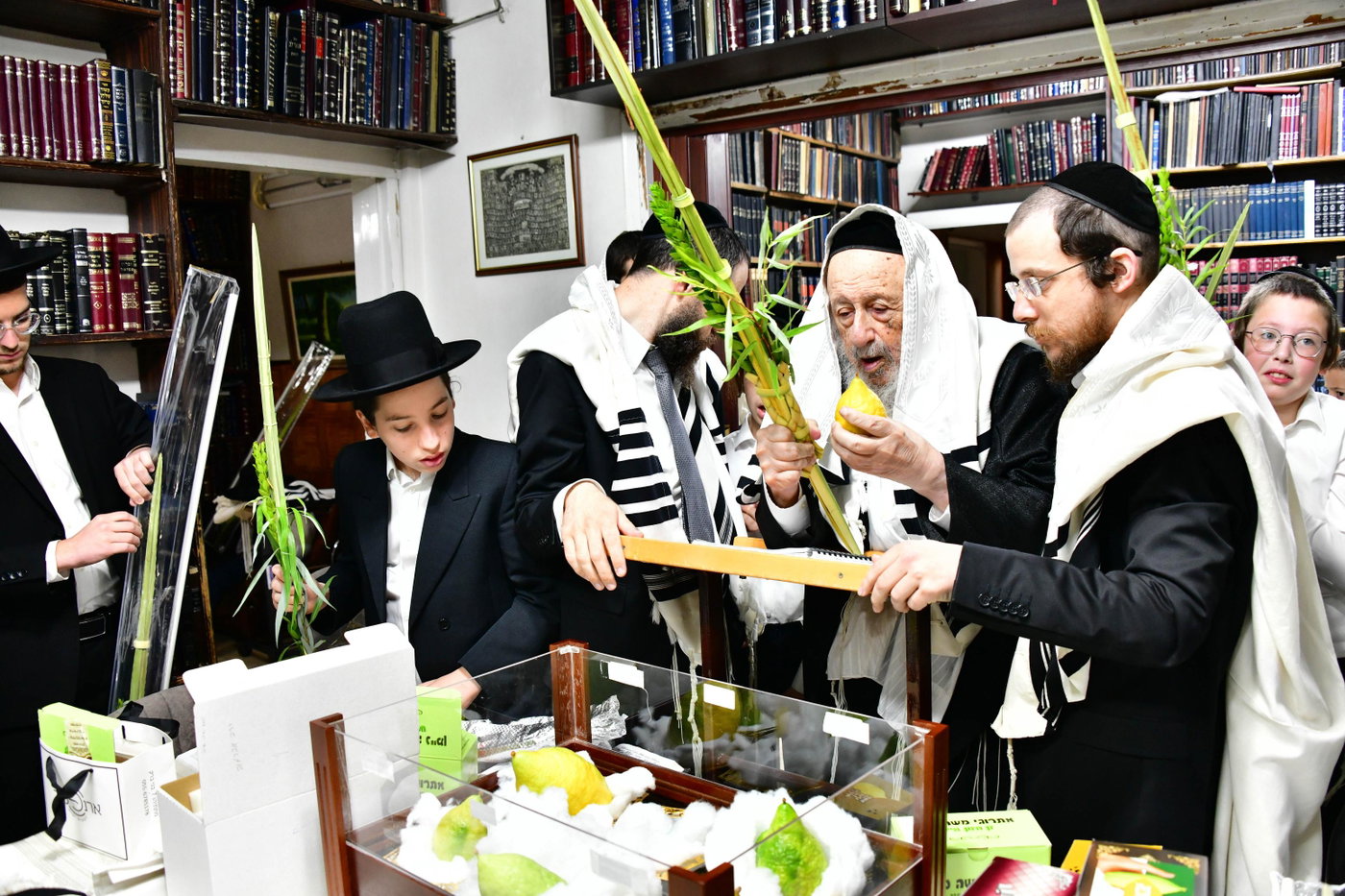 הגרב"ד פוברסקי והגרח"פ ברמן בנטילת לולב