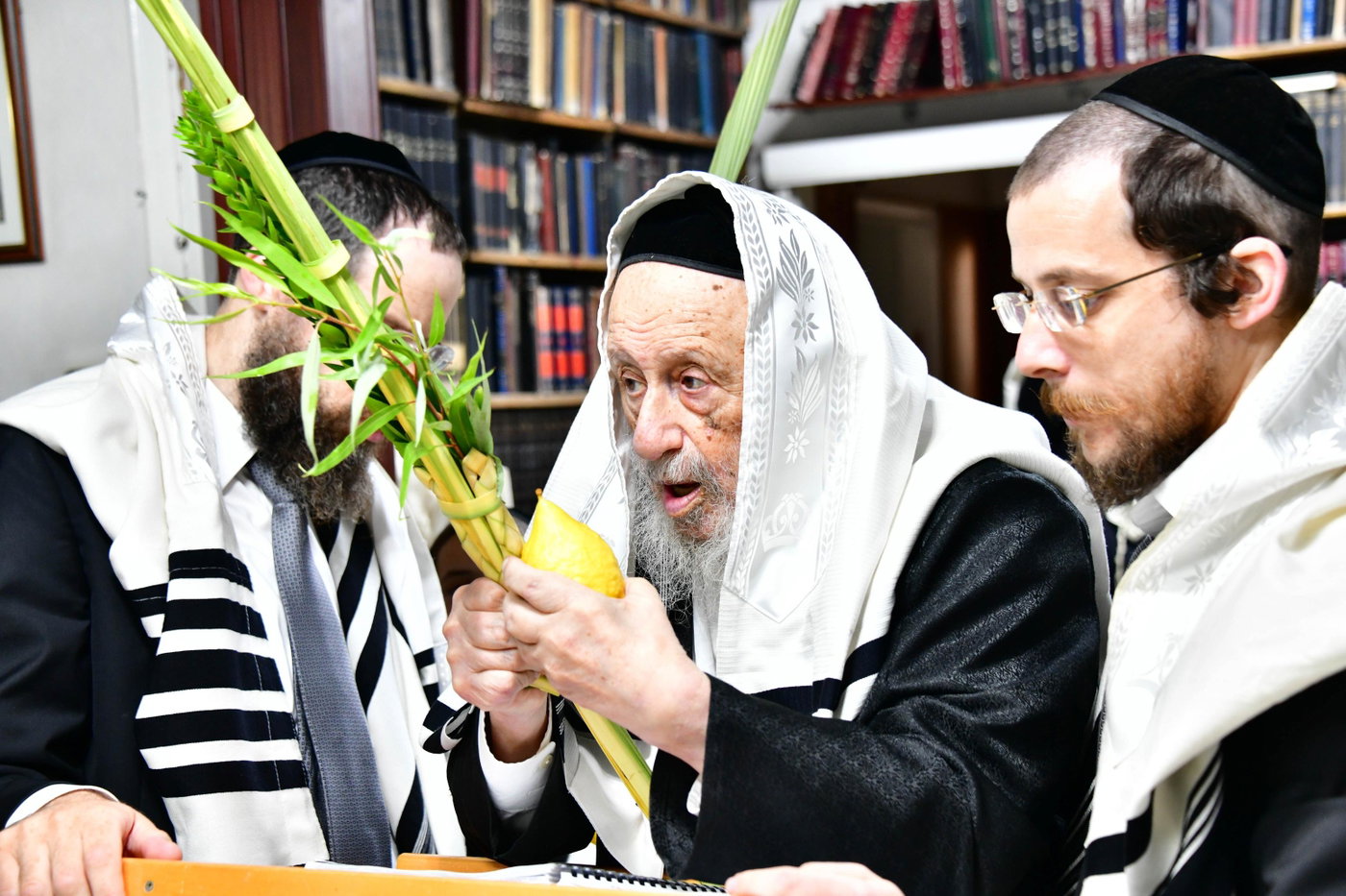הגרב"ד פוברסקי והגרח"פ ברמן בנטילת לולב