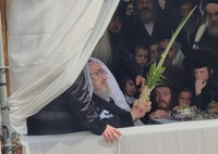 האדמו"ר מויז'ניץ בנענועים בחוה"מ סוכות