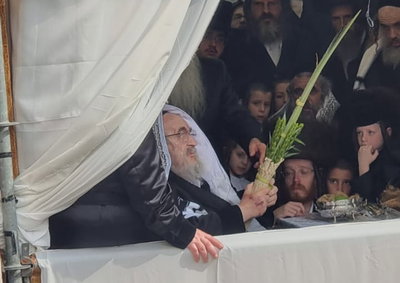 האדמו"ר מויז'ניץ בנענועים בחוה"מ סוכות