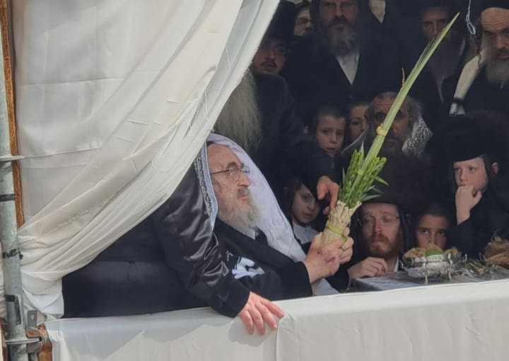 האדמו"ר מויז'ניץ בנענועים בחוה"מ סוכות