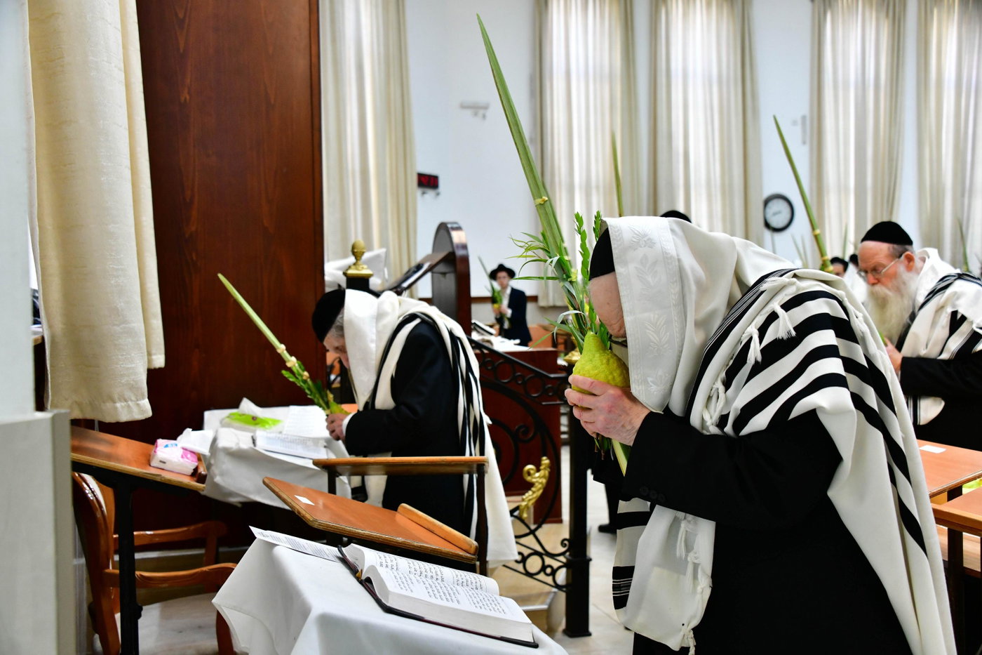 הגר"ד לנדו והגרמ"ה הירש בנטילת לולב