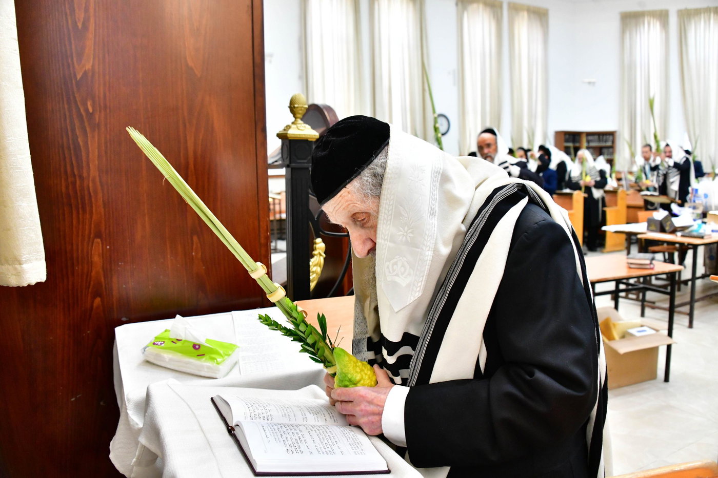 הגר"ד לנדו והגרמ"ה הירש בנטילת לולב
