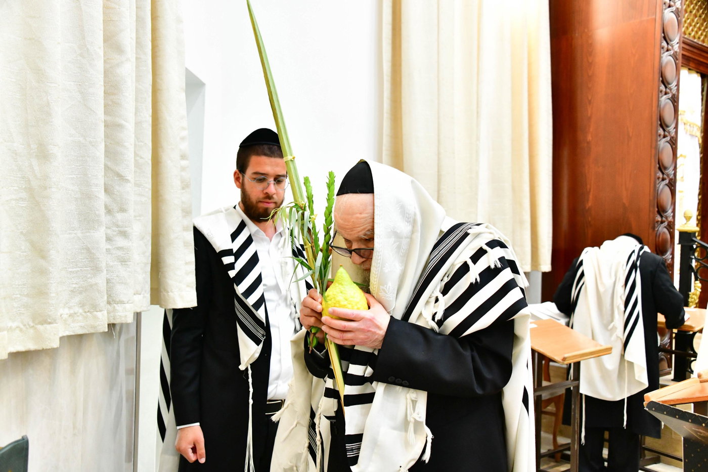 הגר"ד לנדו והגרמ"ה הירש בנטילת לולב