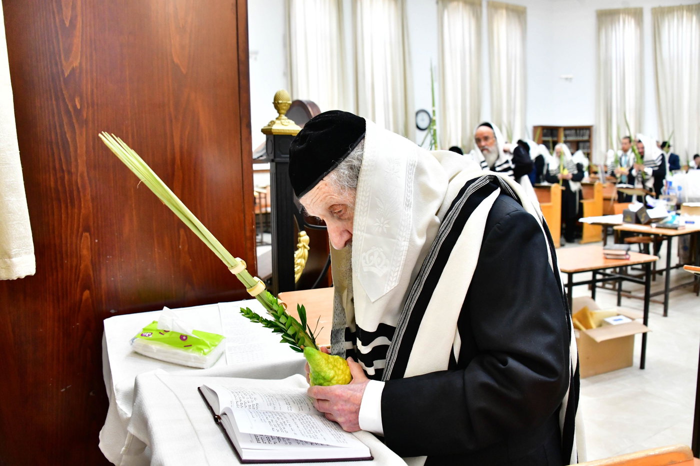 הגר"ד לנדו והגרמ"ה הירש בנטילת לולב