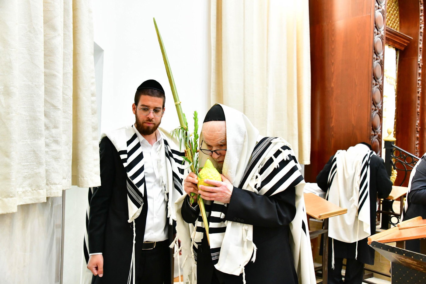 הגר"ד לנדו והגרמ"ה הירש בנטילת לולב