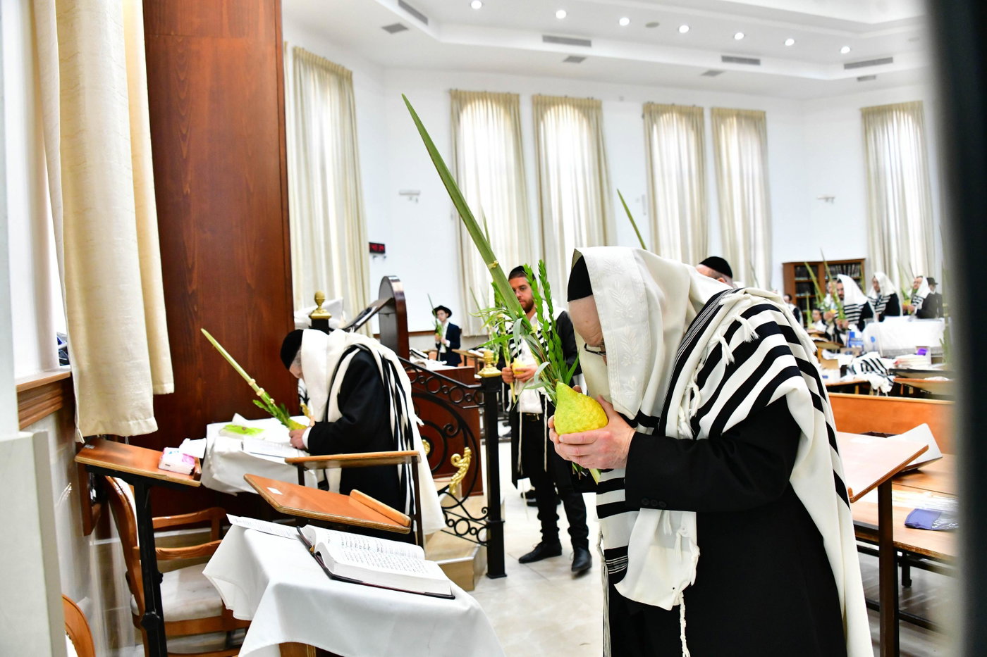 הגר"ד לנדו והגרמ"ה הירש בנטילת לולב