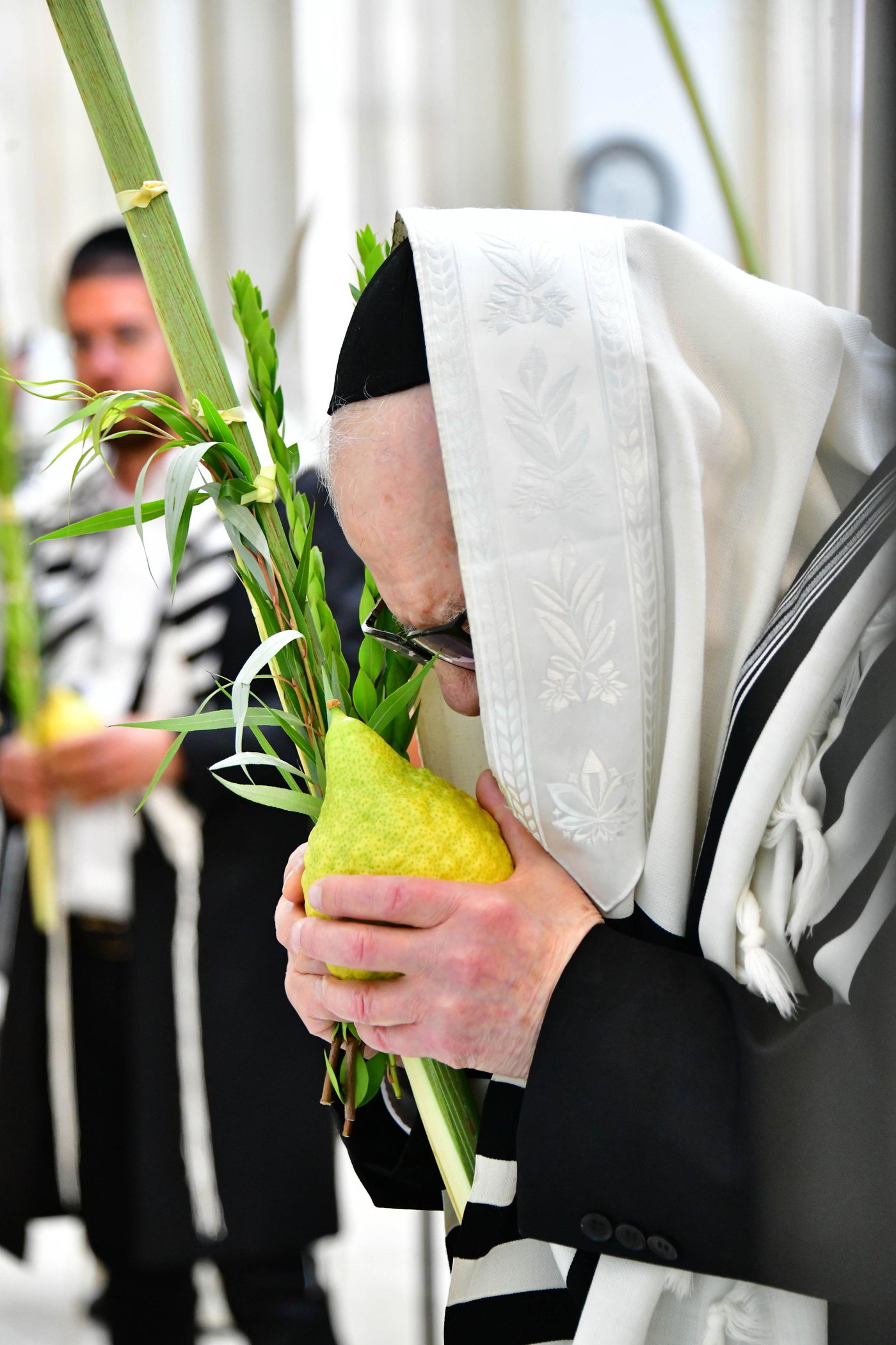 הגר"ד לנדו והגרמ"ה הירש בנטילת לולב