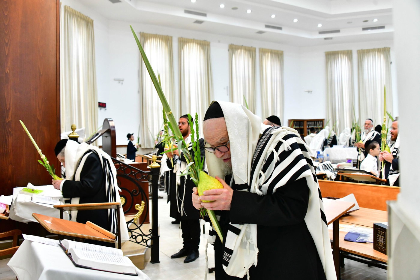 הגר"ד לנדו והגרמ"ה הירש בנטילת לולב